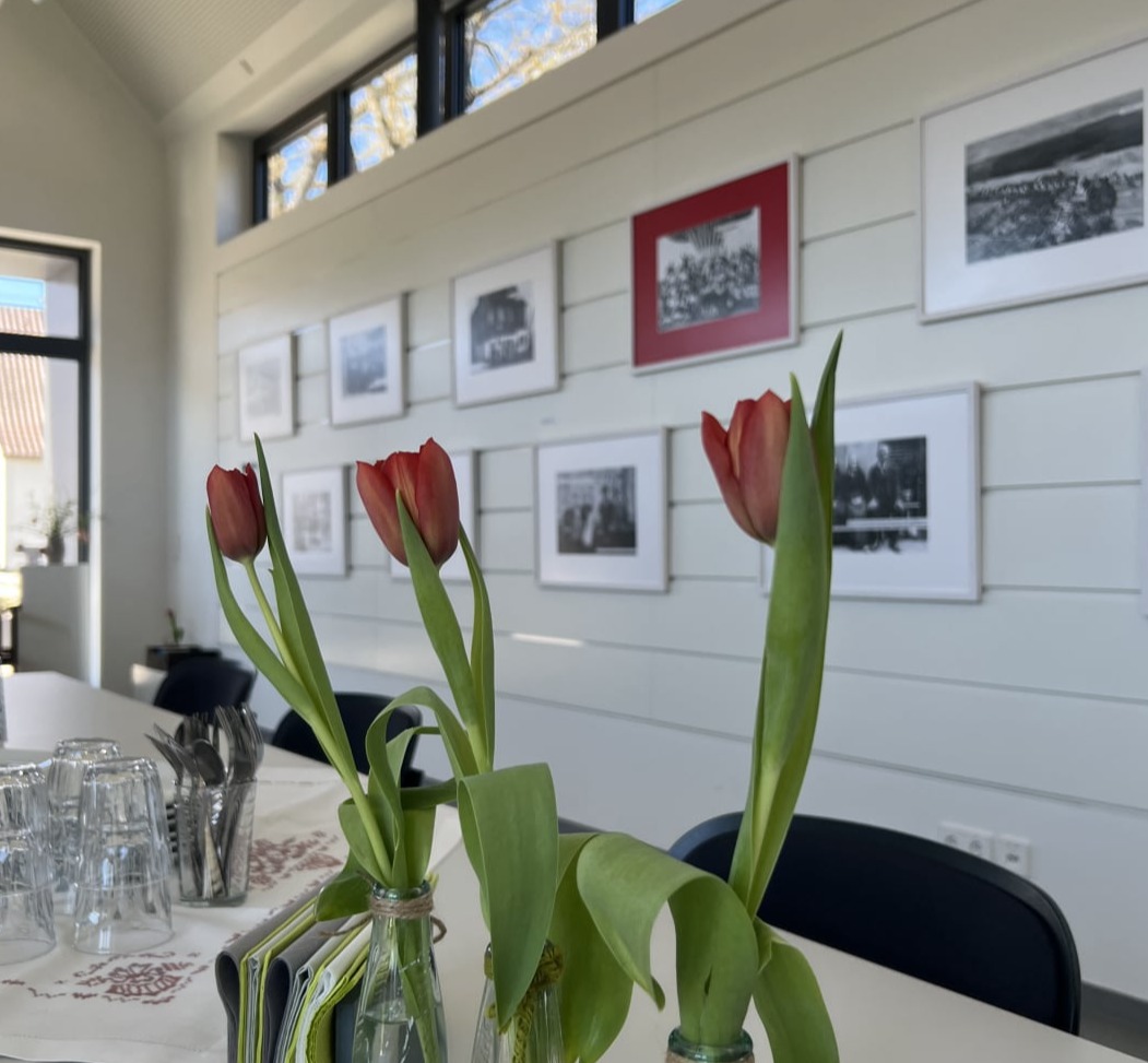 Ausstellungsraum mit roten Tulpen